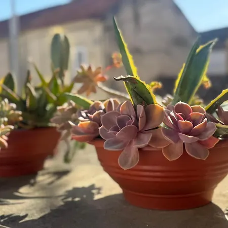 La Corte Di Kate * Биоград-на-Мору