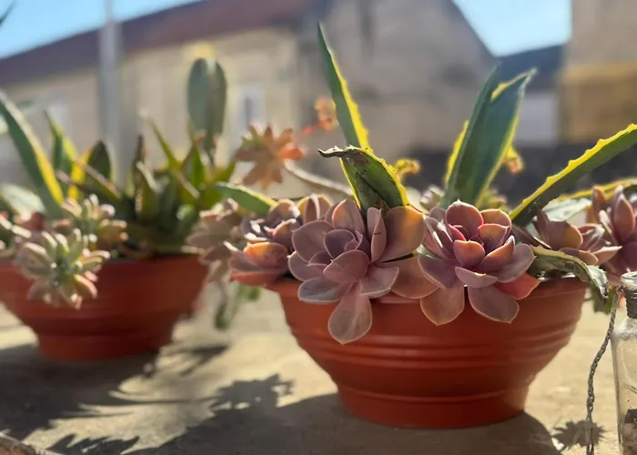 La Corte Di Kate * Biograd Na Moru